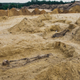 Some of the graves uncovered at the site in southeastern Poland.